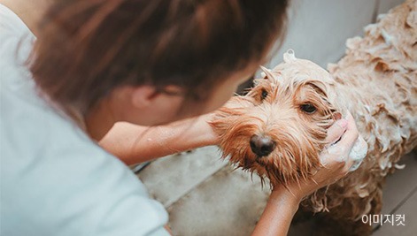 운정 아이파크 포레스트 컨시어지 케어서비스